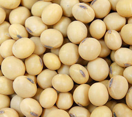 Soyabeans
